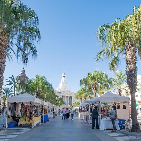 Soto Urban 카디스